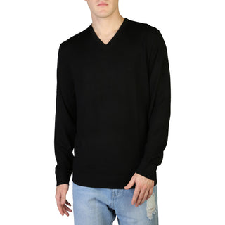 "The 100% Wool V-neck Sweater"